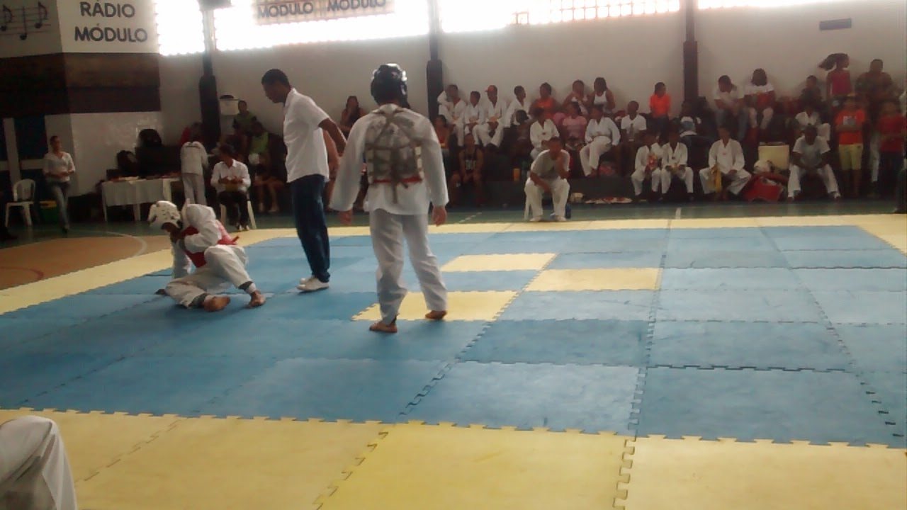 Pratica de Taekwondo em 2015